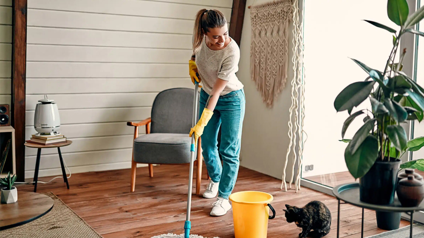 Cleaning Product in Oak Park, MI